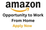 Amazon Work From Home Job: Salary, Necessary Skills, Online Apply &  More.